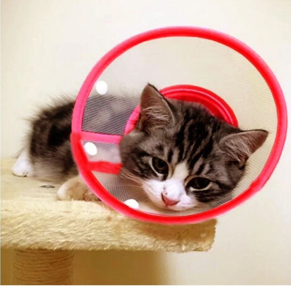 Bolbove Pet Plastic Clear Cone Recovery E-Collar for small pets